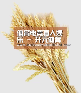 体育电竞真人娱乐 - 开元体育娱乐中心