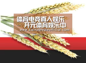 体育电竞真人娱乐 - 开元体育娱乐中心