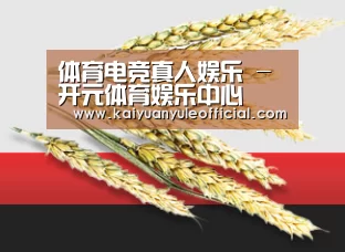 体育电竞真人娱乐 - 开元体育娱乐中心