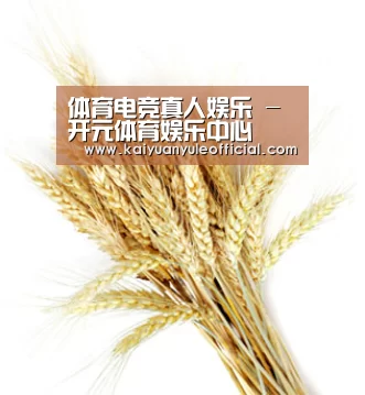 体育电竞真人娱乐 - 开元体育娱乐中心