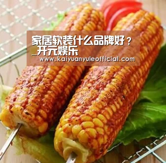家居软装什么品牌好?_开元娱乐(图3) 开元百家乐
