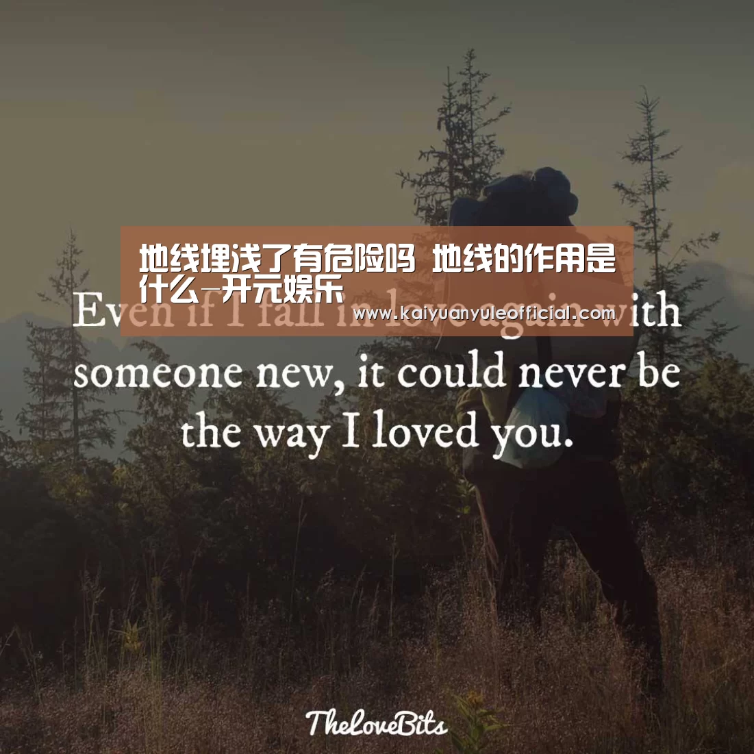 开元百家乐